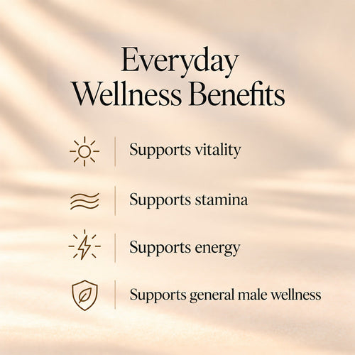 Himalayan Shilajit - benefits